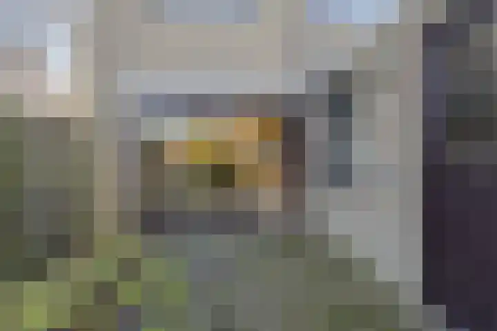 Wepel 15 Annen thumbnail 41