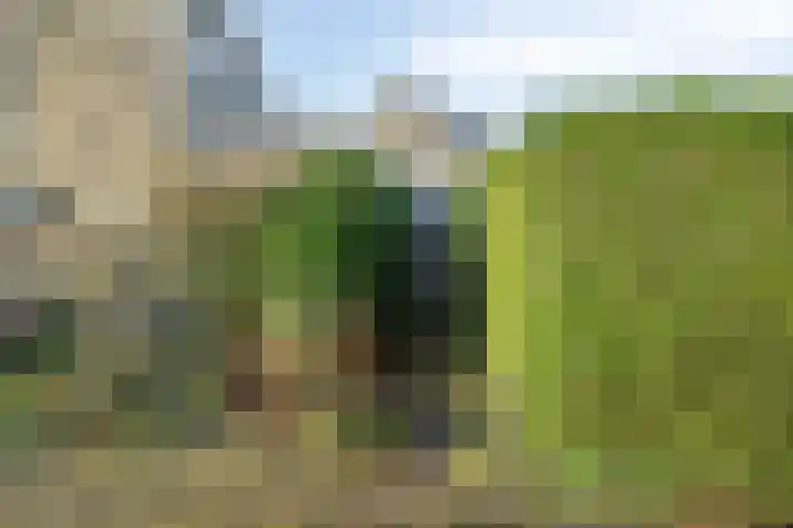 Wepel 15 Annen thumbnail 42