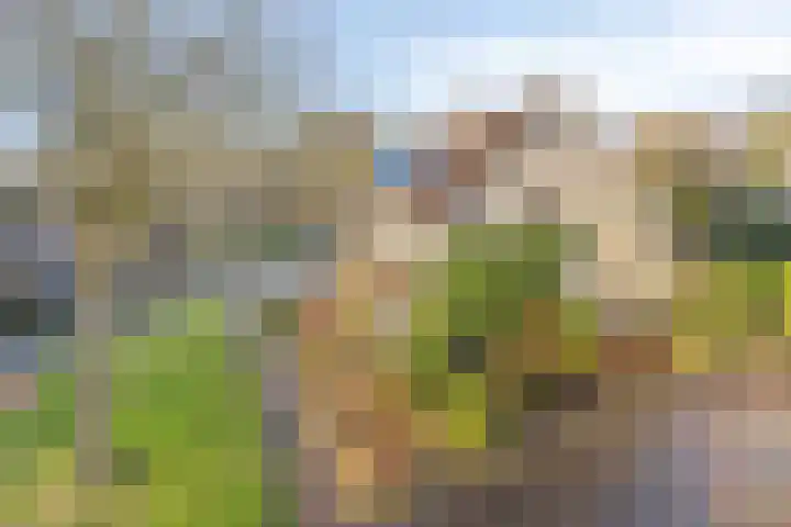 Wepel 15 Annen thumbnail 45