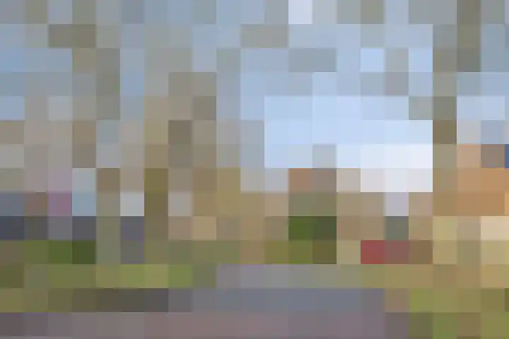 Wepel 15 Annen thumbnail 50