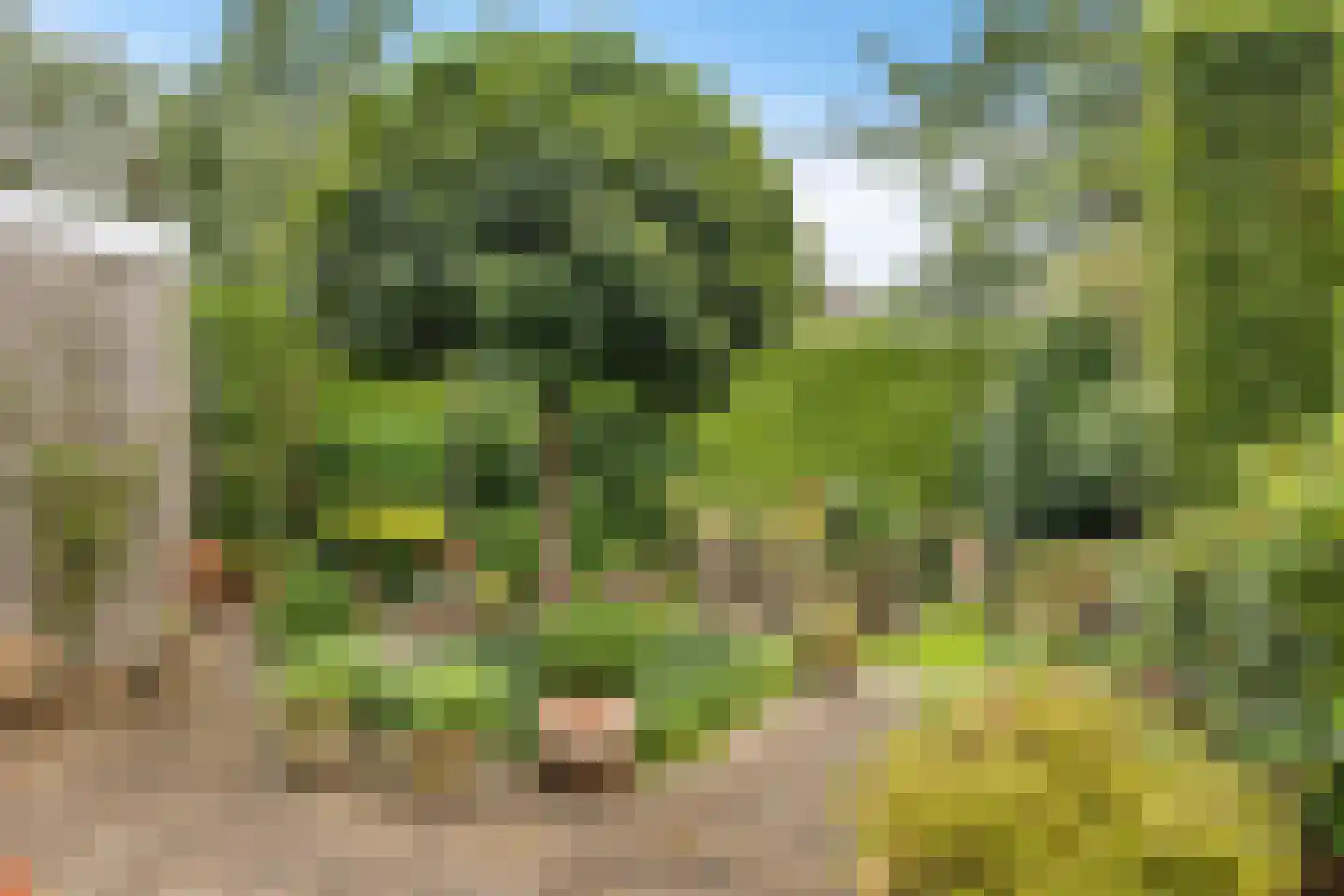 Wepel 3 Annen thumbnail 37