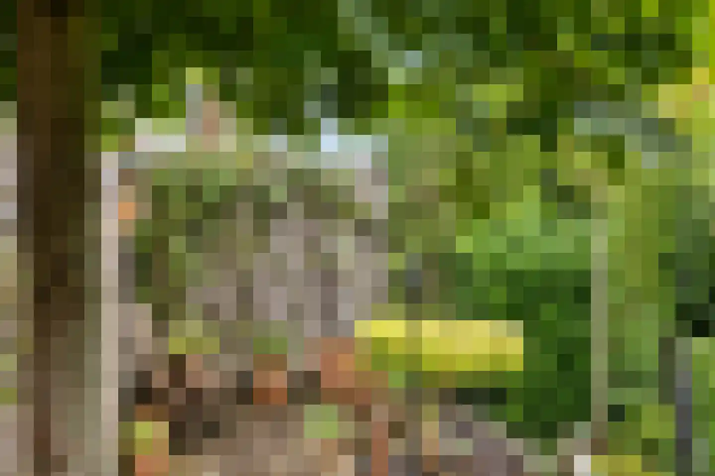 Wepel 3 Annen thumbnail 38