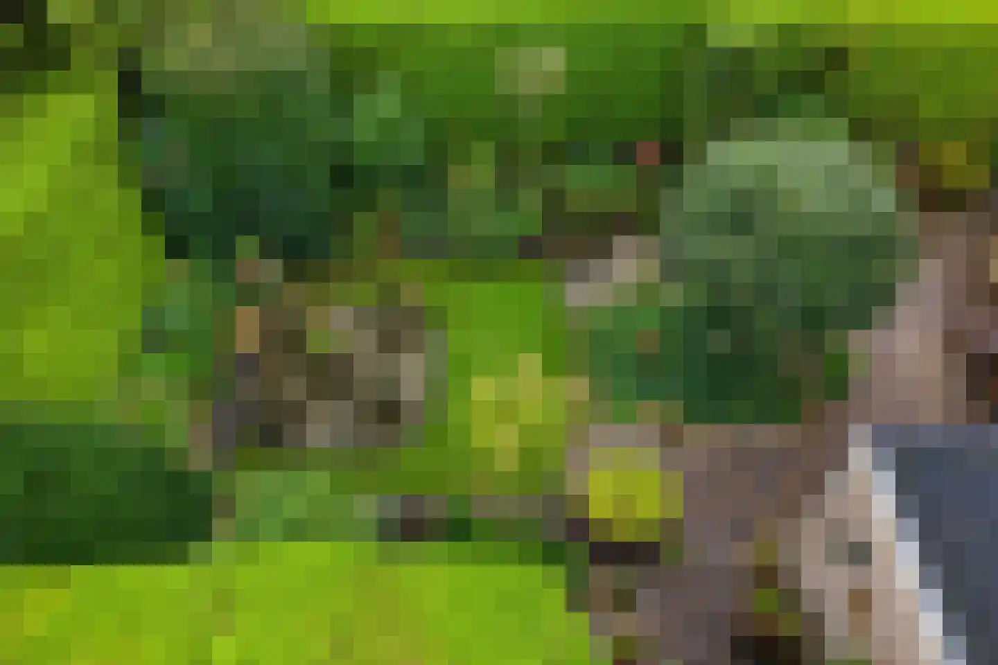 Wepel 3 Annen thumbnail 39