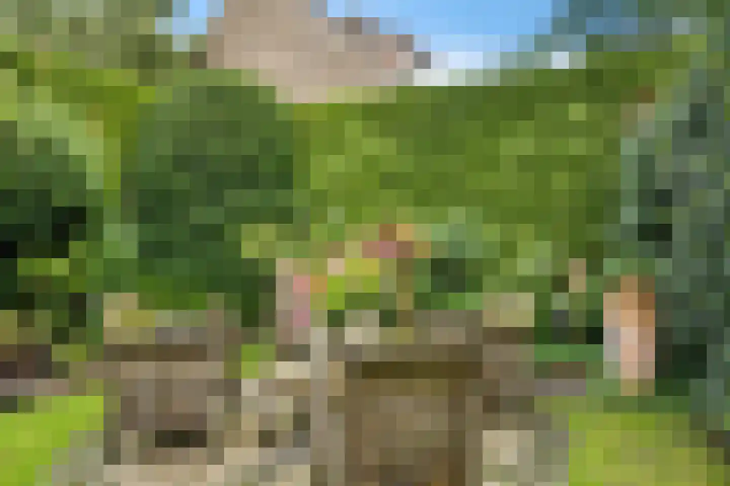 Wepel 3 Annen thumbnail 40