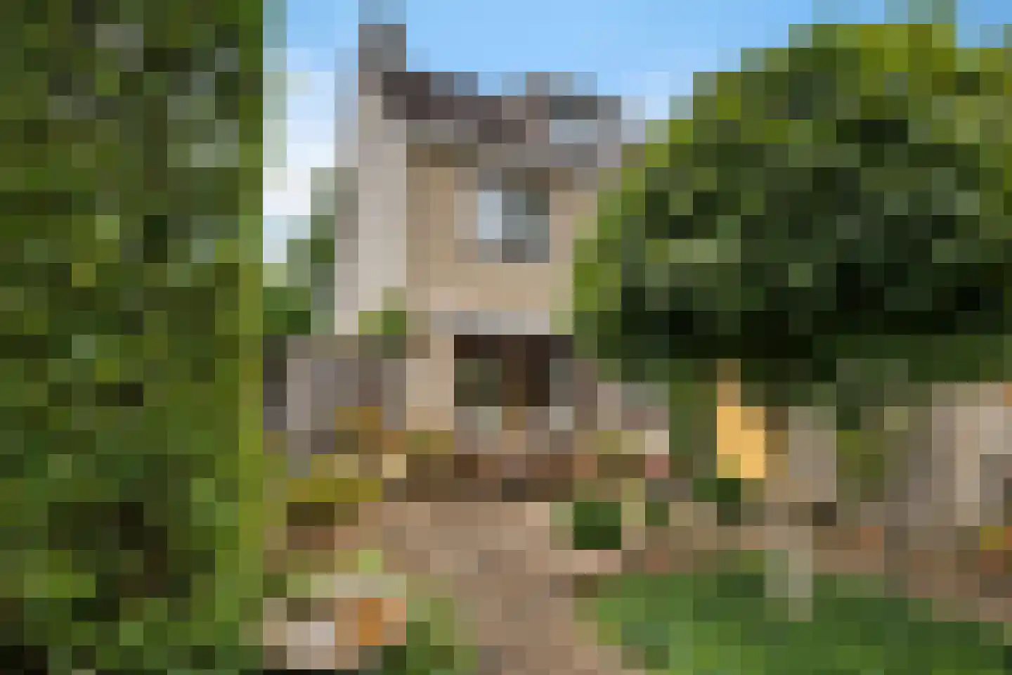 Wepel 3 Annen thumbnail 42