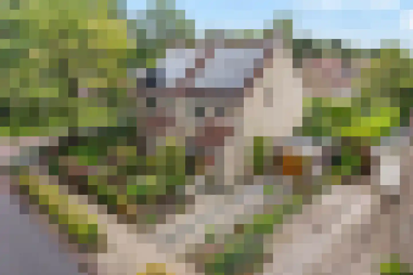 Wepel 3 Annen thumbnail 48