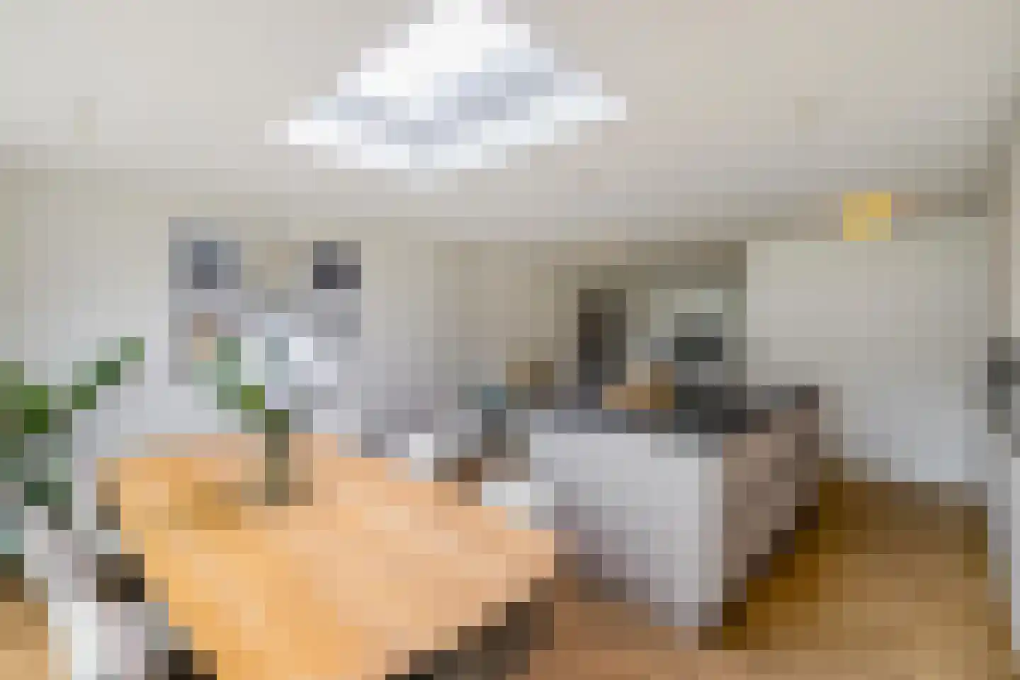 Wepel 58 Annen thumbnail 20