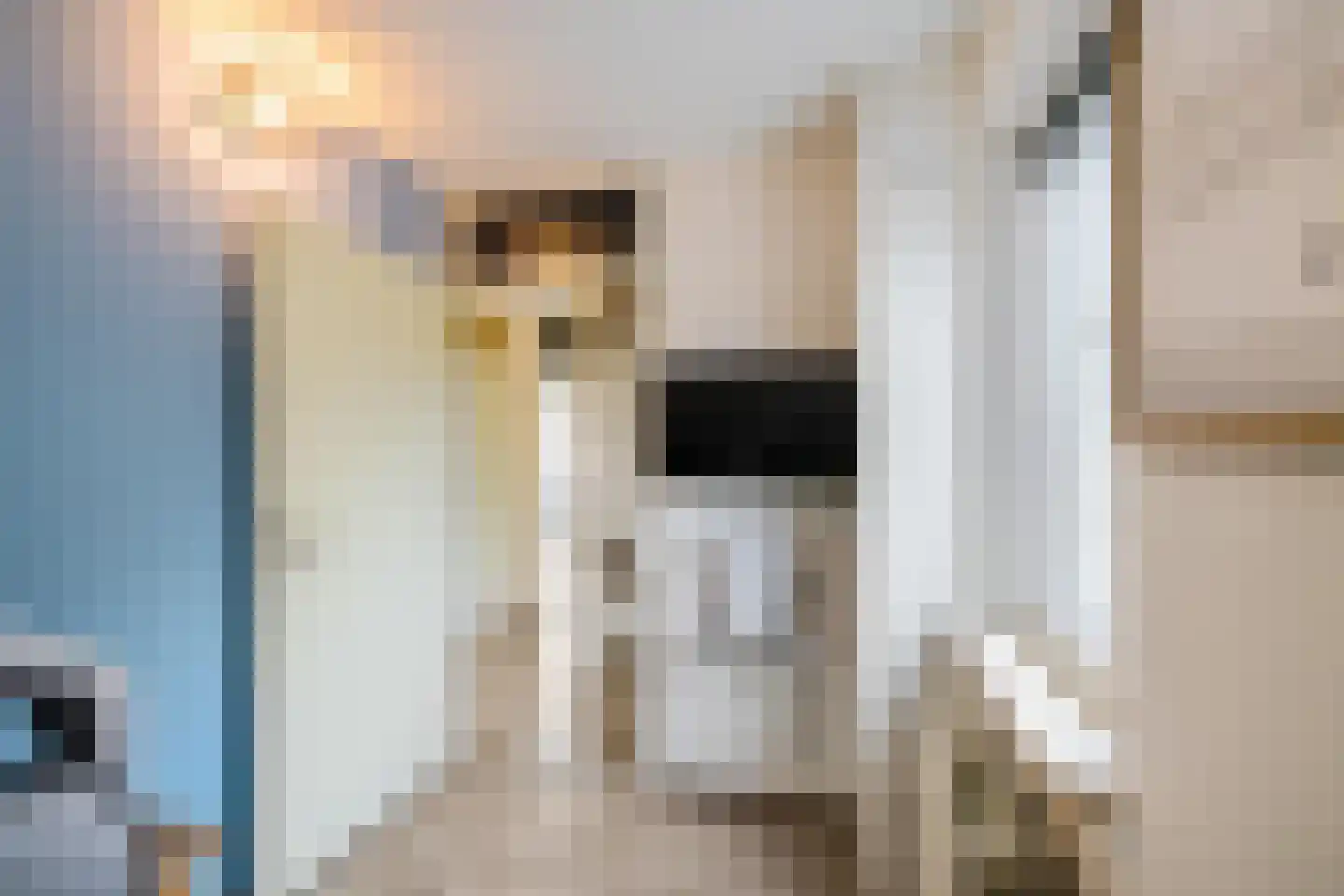Wepel 58 Annen thumbnail 25