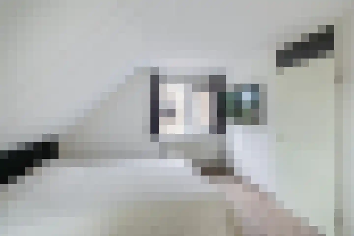 Wepel 58 Annen thumbnail 33