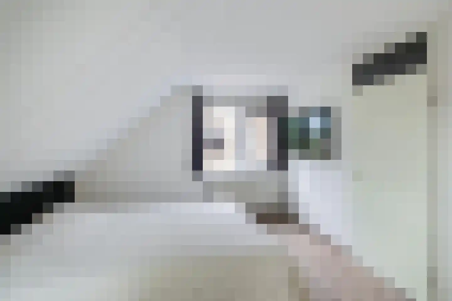 Wepel 58 Annen thumbnail 33