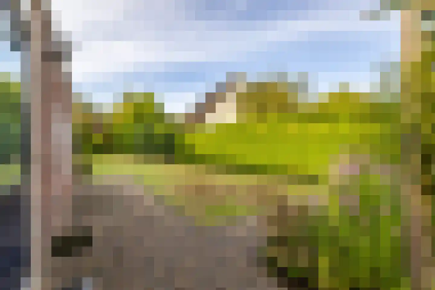 Wepel 62 Annen thumbnail 41