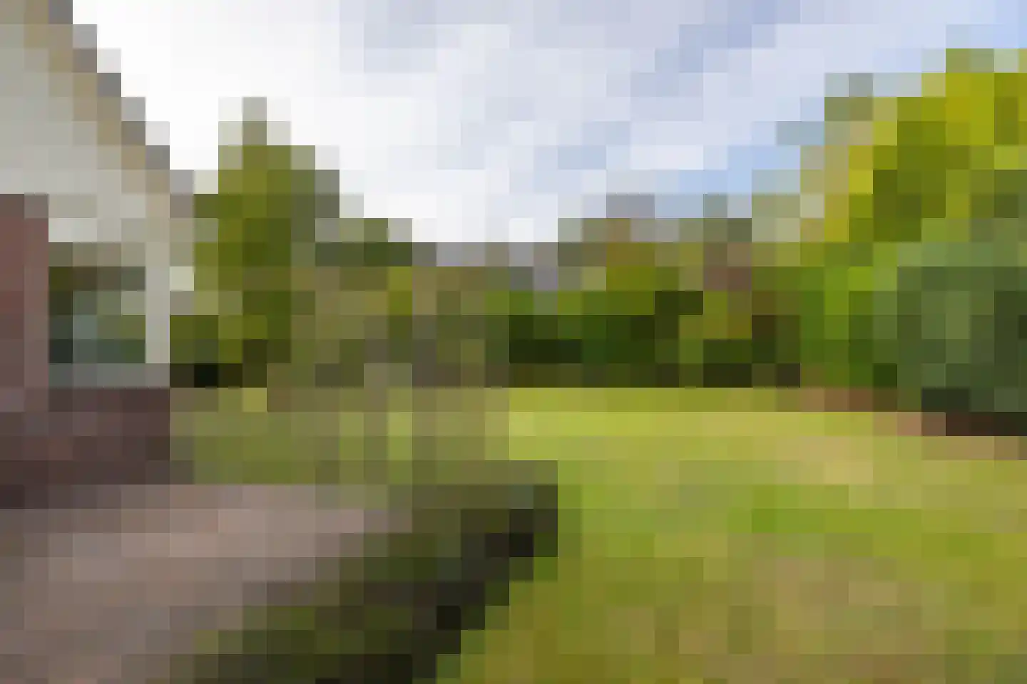 Wepel 62 Annen thumbnail 42