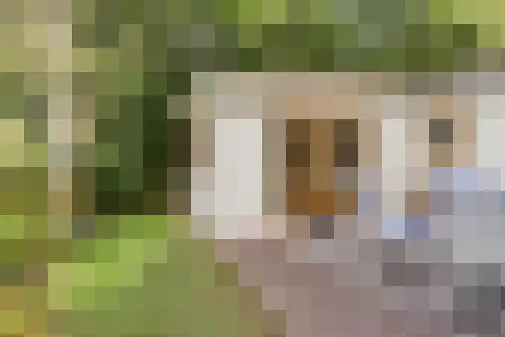 Weperpolder 33 A 50 Oosterwolde thumbnail 10