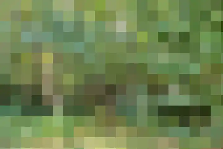 Weperpolder 33 A 50 Oosterwolde thumbnail 32