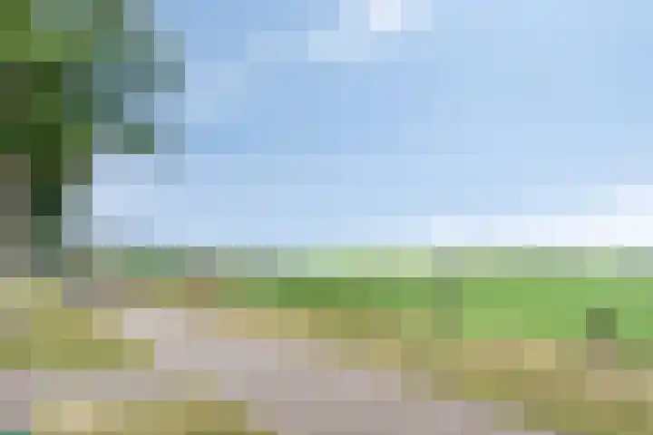 Weperpolder 33 A 50 Oosterwolde thumbnail 35