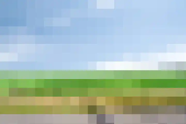 Weperpolder 33 A 50 Oosterwolde thumbnail 36
