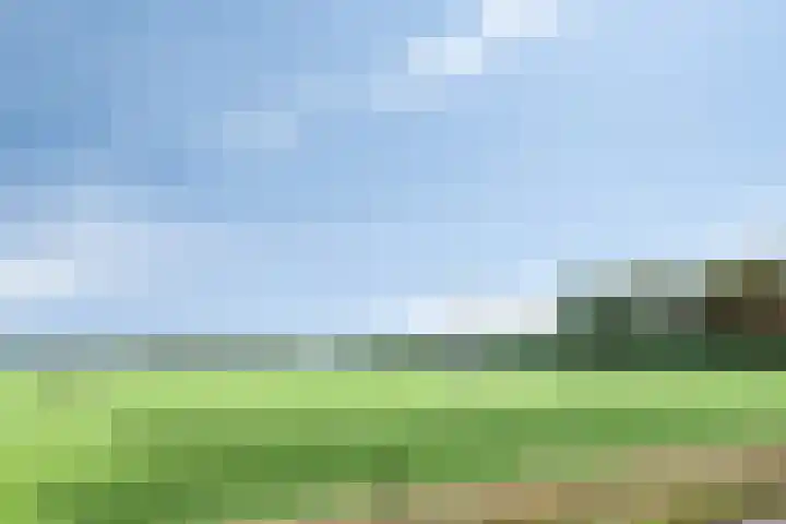 Weperpolder 33 A 50 Oosterwolde thumbnail 37