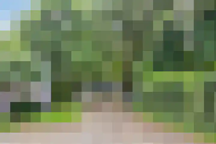 Weperpolder 33 A 50 Oosterwolde thumbnail 38
