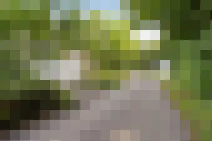 Weperpolder 33 A 50 Oosterwolde thumbnail 8