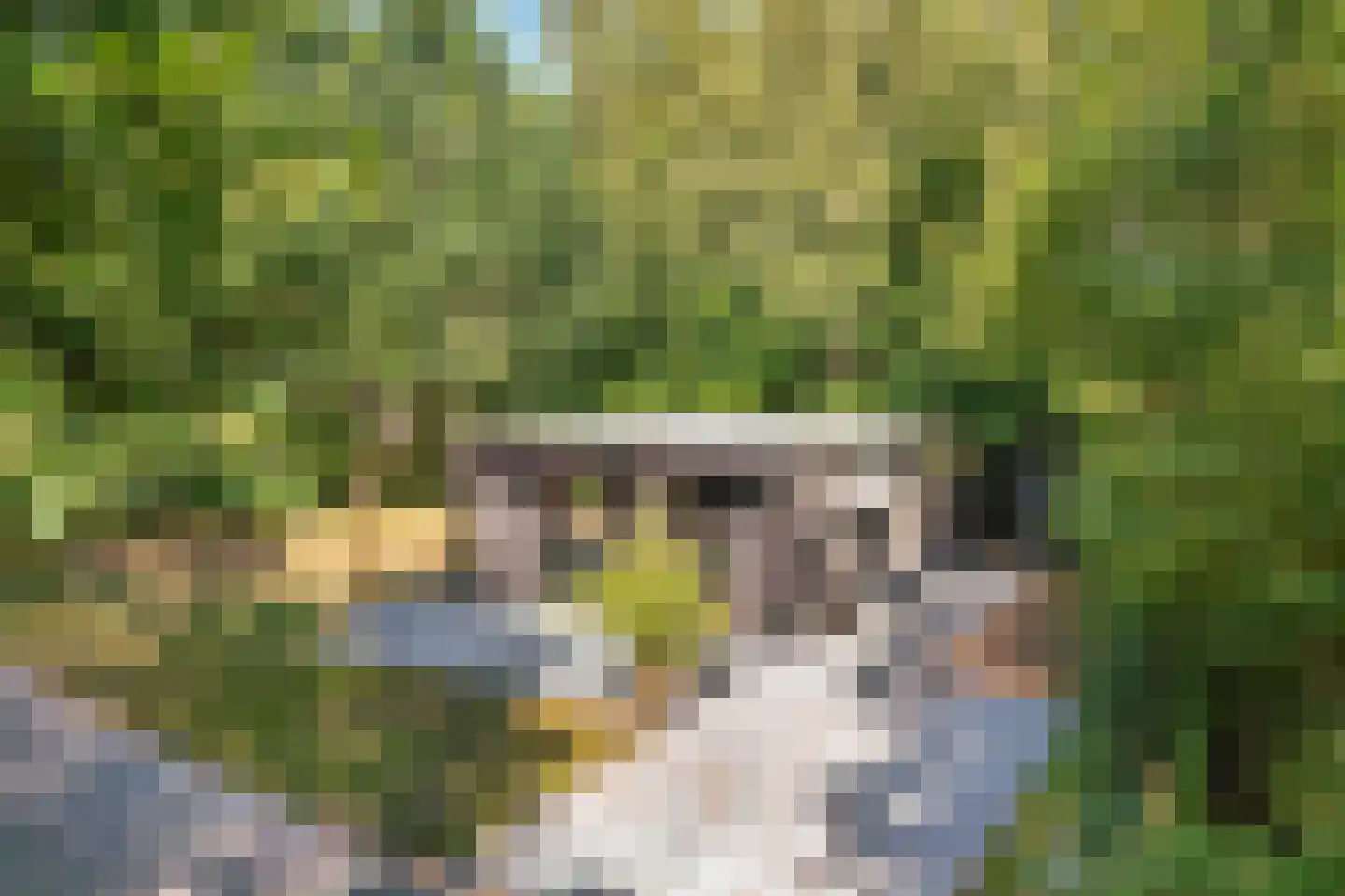 Weperpolder 33 A 75 Oosterwolde thumbnail 12