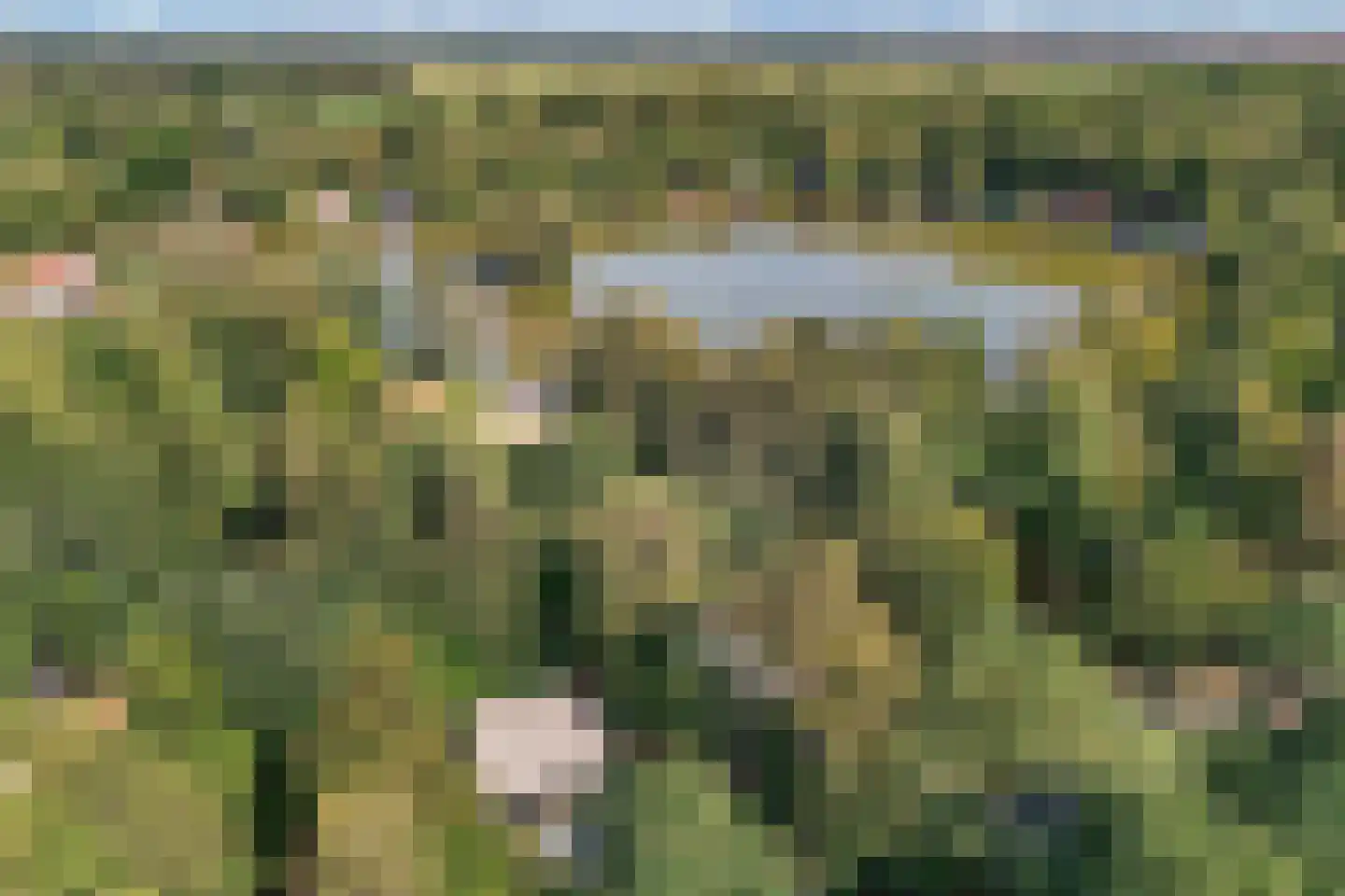 Weperpolder 33 A 75 Oosterwolde thumbnail 14