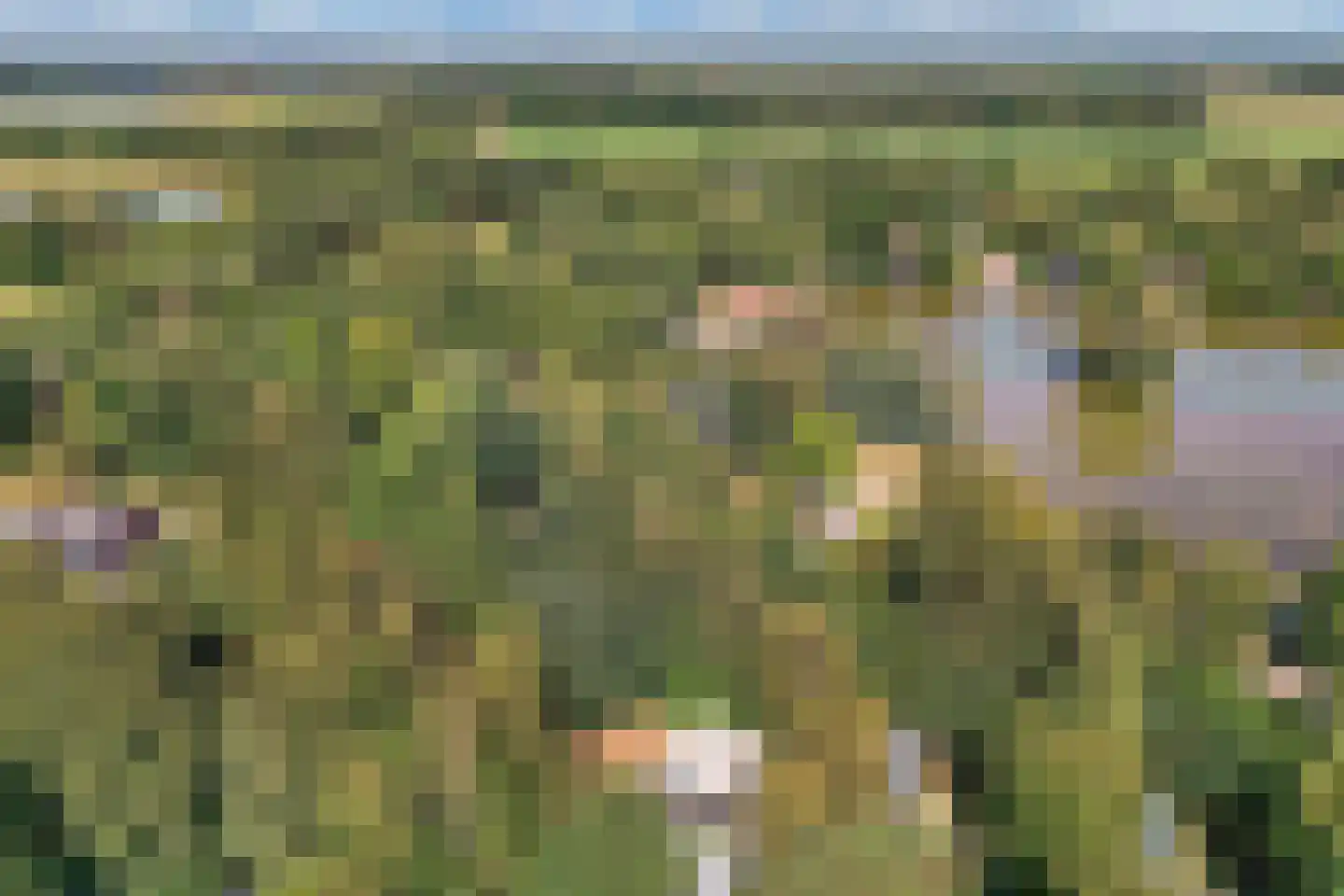 Weperpolder 33 A 75 Oosterwolde thumbnail 15
