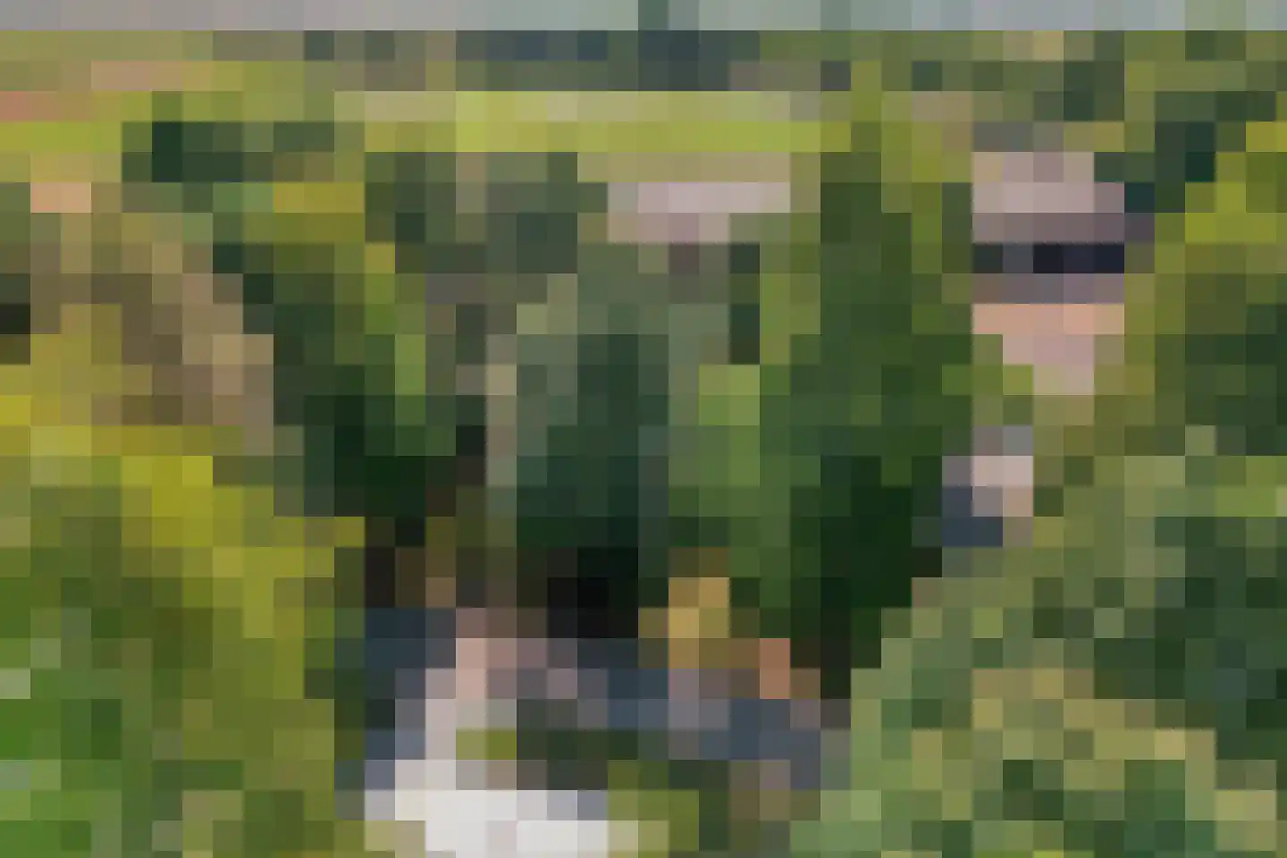 Weperpolder 33 A 75 Oosterwolde thumbnail 37