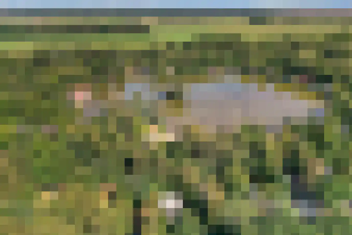 Weperpolder 33 A 75 Oosterwolde thumbnail 5