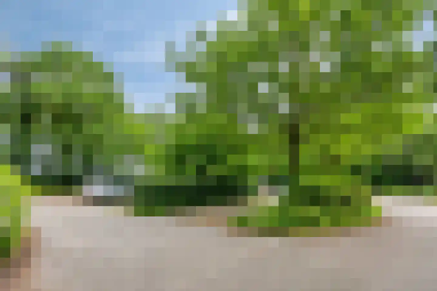 Weperpolder 33 A 79 Oosterwolde thumbnail 29