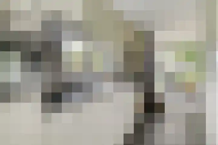 Weperpolder 33 A 88 Oosterwolde thumbnail 10
