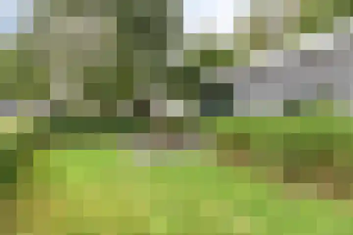 Weperpolder 33 A 88 Oosterwolde thumbnail 16