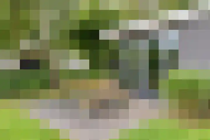 Weperpolder 33 A 88 Oosterwolde thumbnail 17