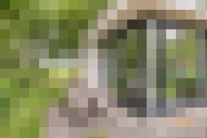 Weperpolder 33 A 88 Oosterwolde thumbnail 18