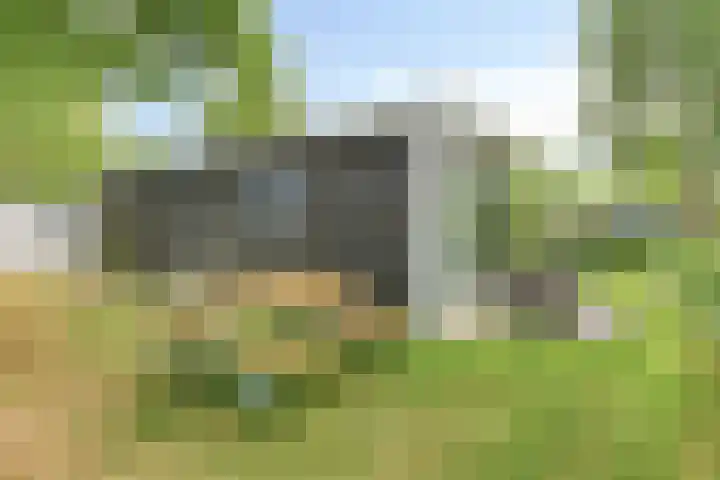 Weperpolder 33 A 88 Oosterwolde thumbnail 19