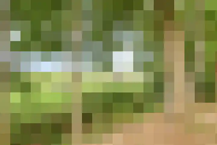 Weperpolder 33 A 88 Oosterwolde thumbnail 20