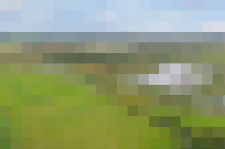 Weperpolder 33 A 88 Oosterwolde thumbnail 23