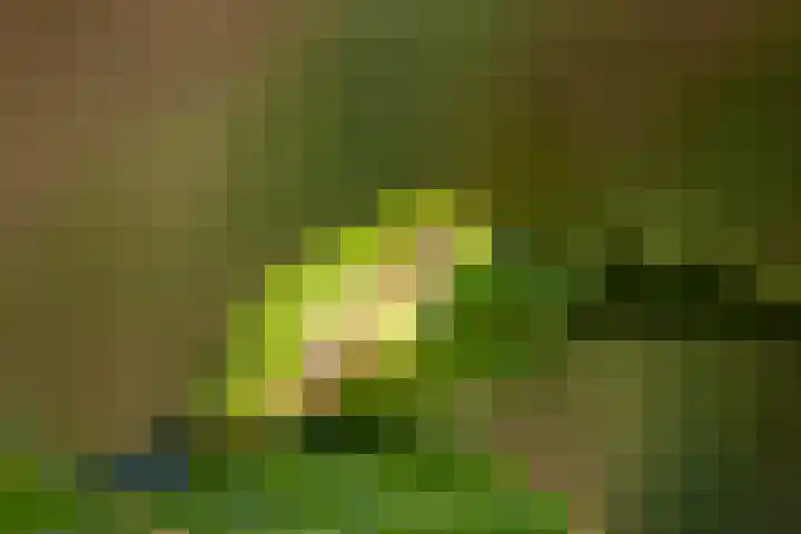 Weperpolder 33 A 88 Oosterwolde thumbnail 24