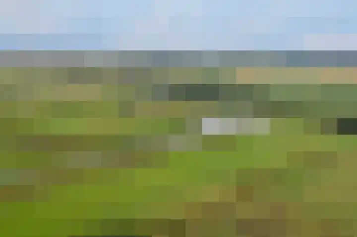 Weperpolder 33 A 88 Oosterwolde thumbnail 28