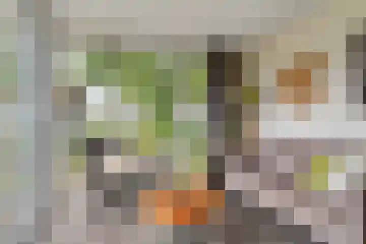 Weperpolder 33 A 88 Oosterwolde thumbnail 6