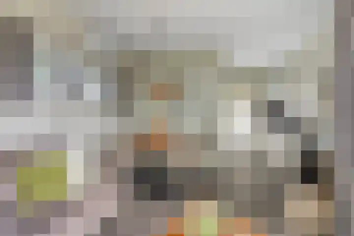 Weperpolder 33 A 88 Oosterwolde thumbnail 7