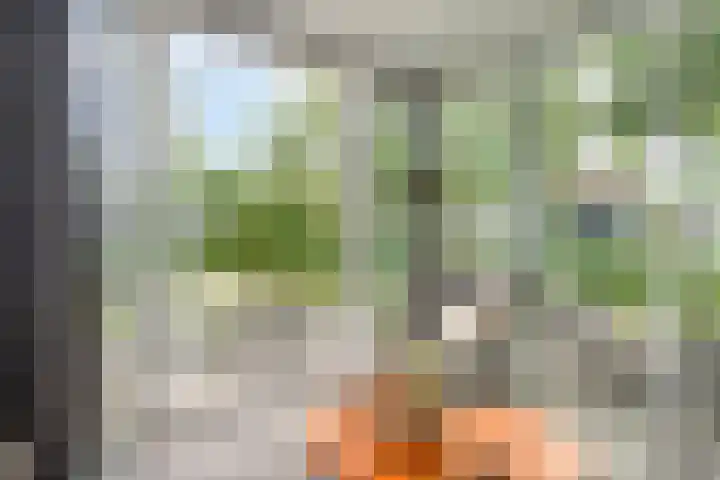 Weperpolder 33 A 88 Oosterwolde thumbnail 8