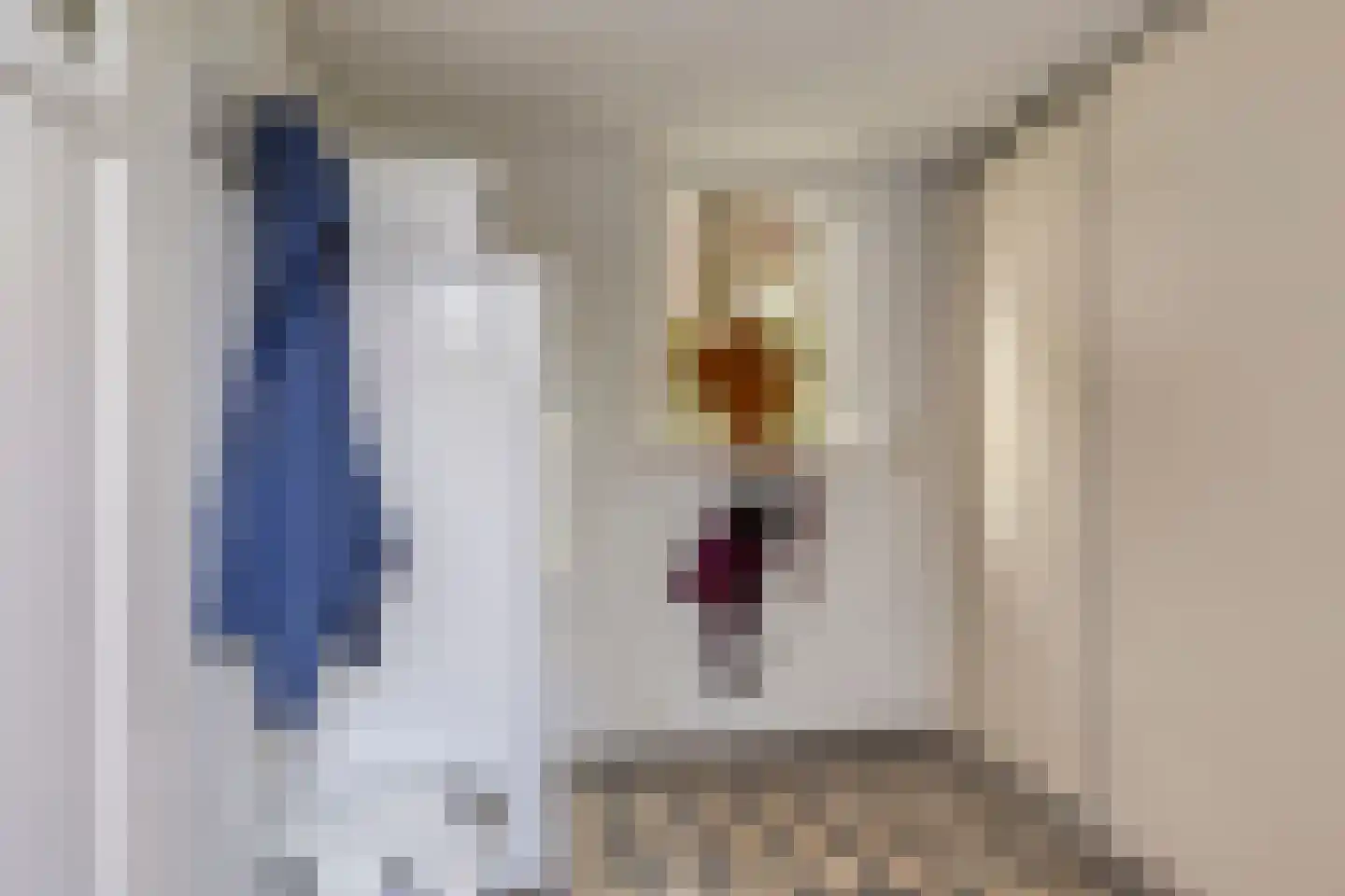 Weppel 6 Vorden thumbnail 14