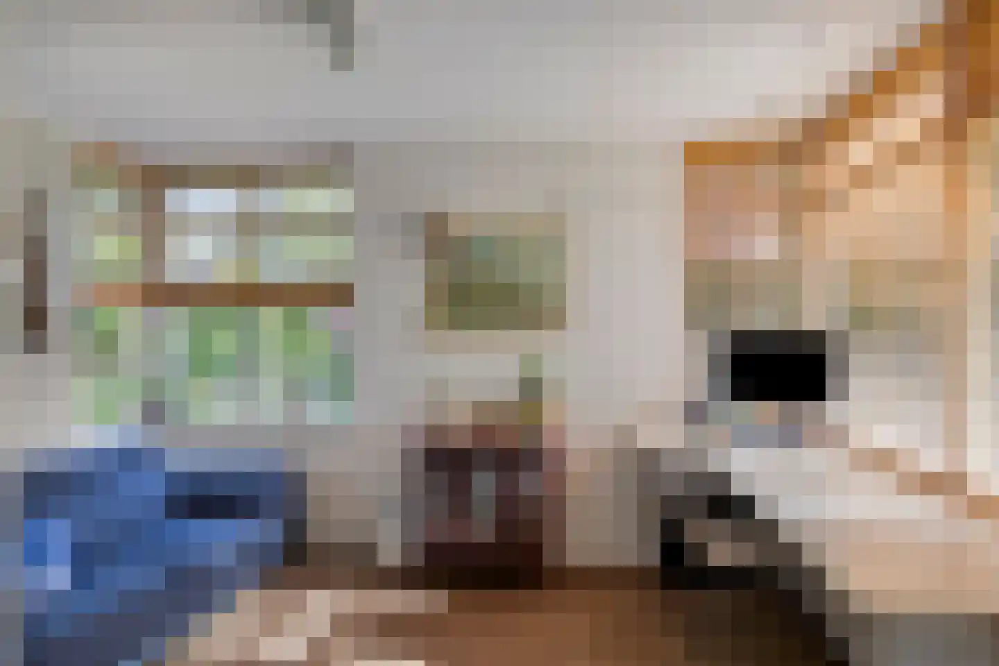 Weppel 6 Vorden thumbnail 15