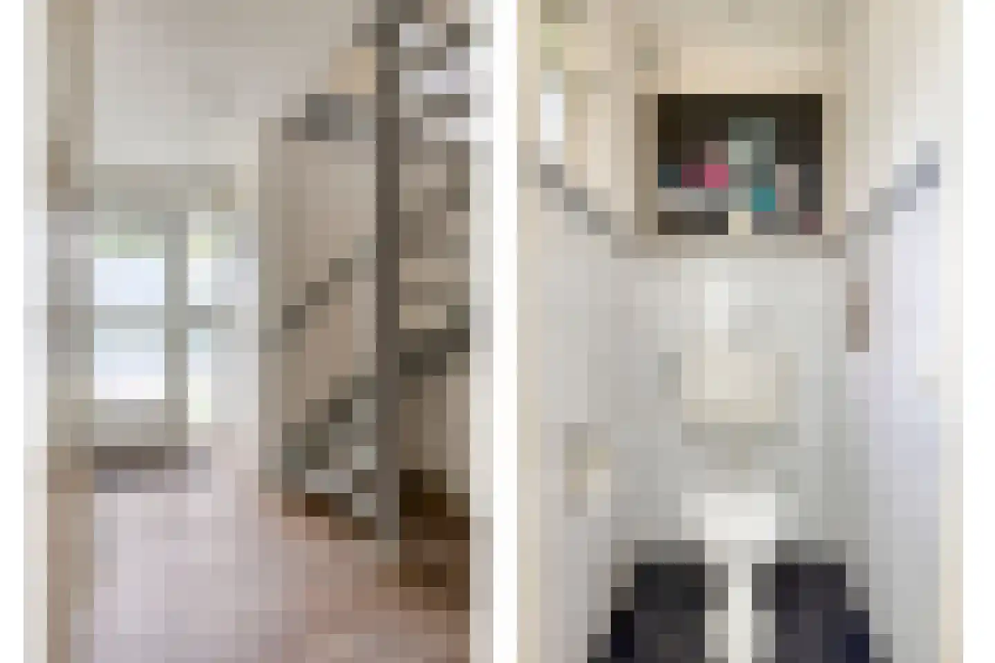Weppel 6 Vorden thumbnail 16