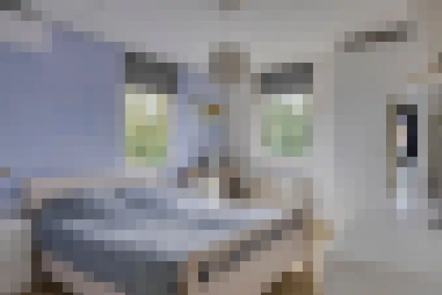 Weppel 6 Vorden thumbnail 17