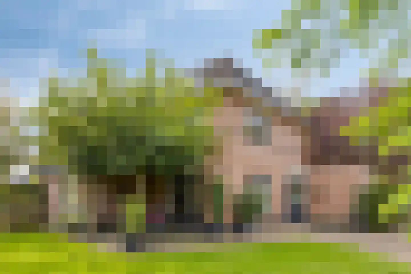 Weppel 6 Vorden foto 2