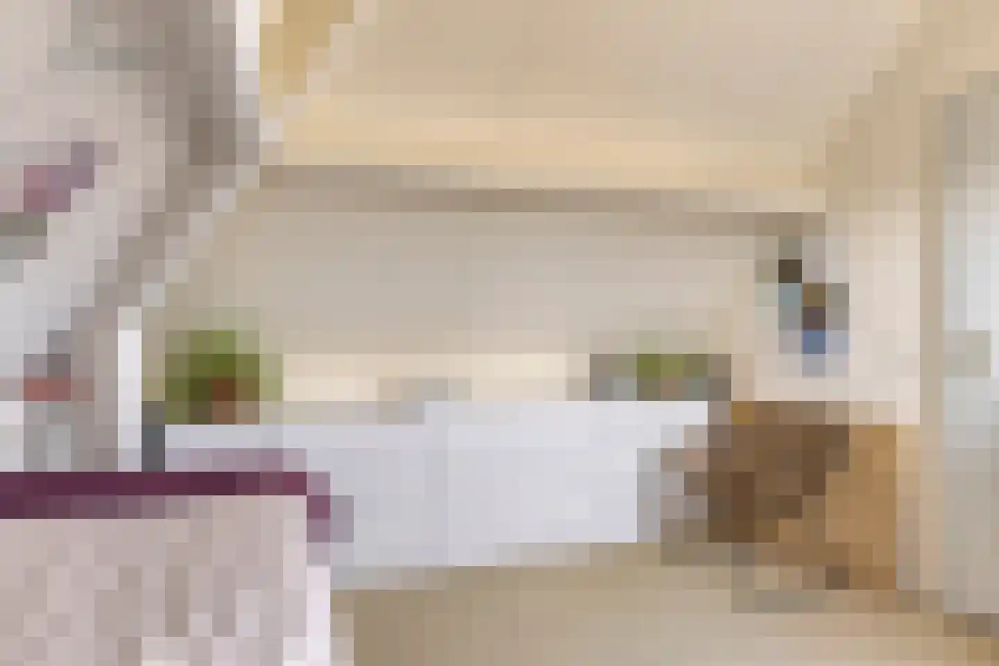 Weppel 6 Vorden thumbnail 25