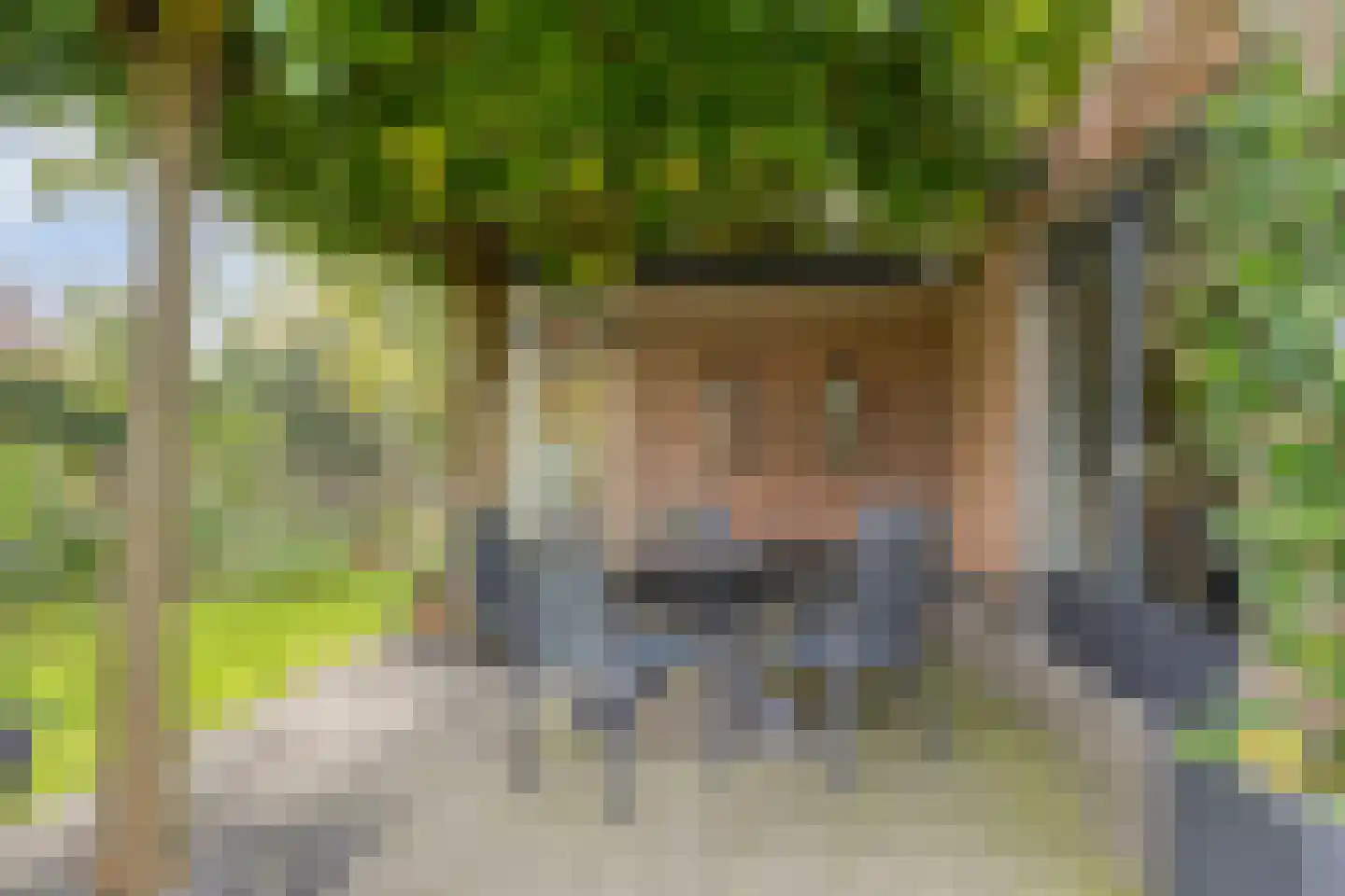Weppel 6 Vorden thumbnail 29