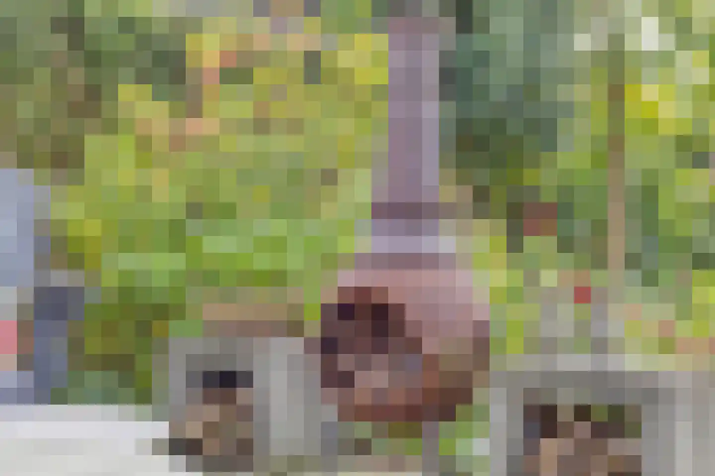 Weppel 6 Vorden thumbnail 32
