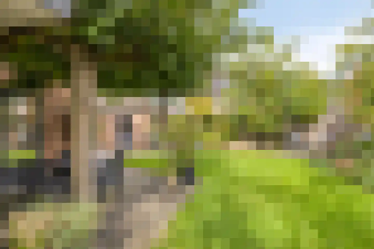 Weppel 6 Vorden thumbnail 33